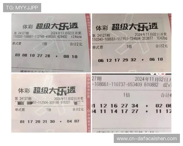 精准解析彩票号码规律 提升中奖概率的实用指南