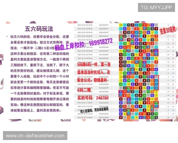掌握官方飞艇方法精准分析走势提升稳定盈利实战技巧全解析指南